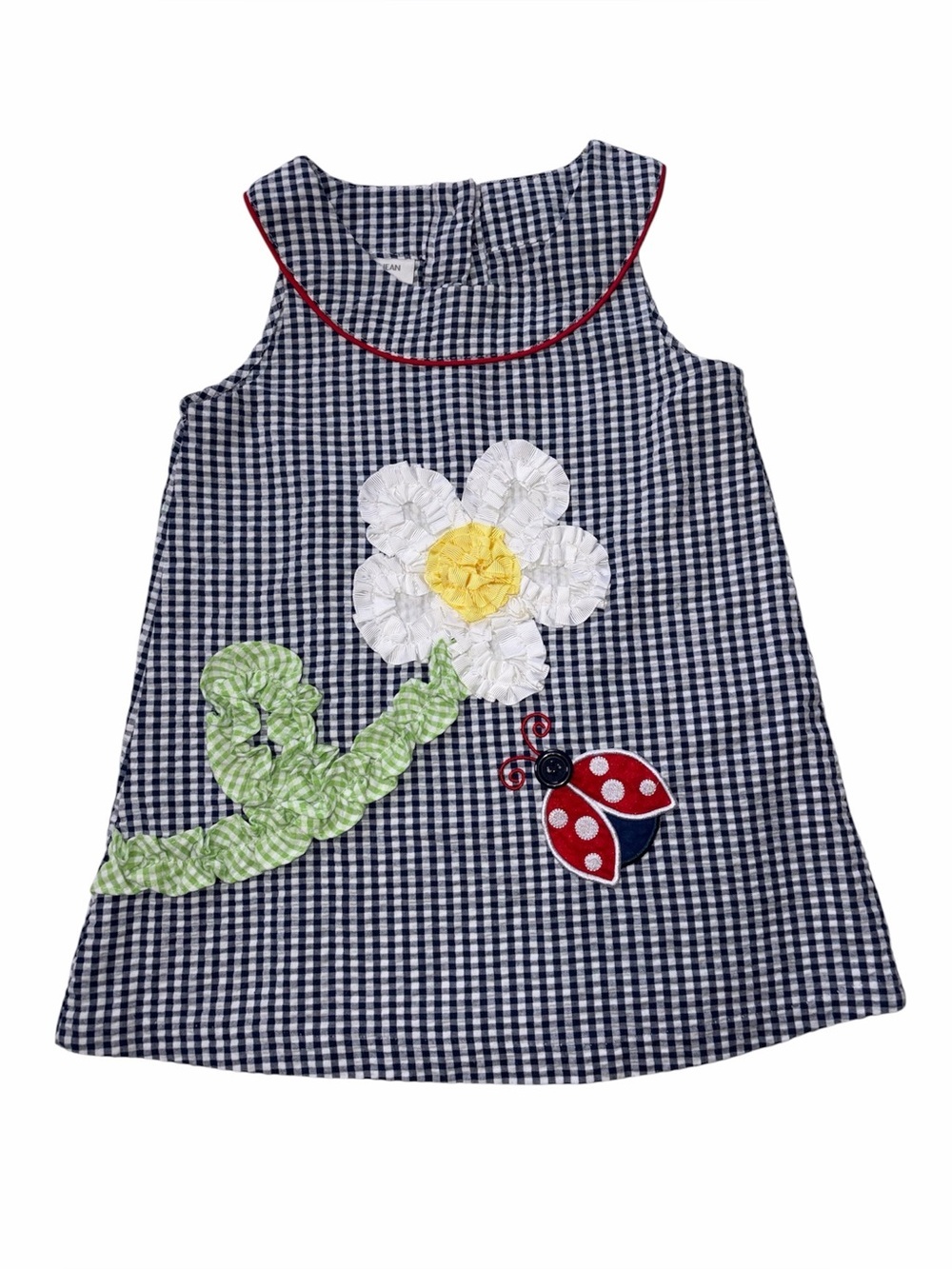 Bonnie Jean 4T Blue Gingham Seersucker Dress Tunic Top Ladybug Ribbon Flower